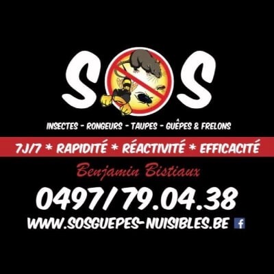 Logo de SOS Guêpes