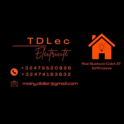 Logo de TD LEC - électricité